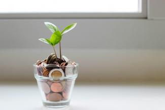 green plant in clear glass cup by micheile henderson courtesy of Unsplash.
